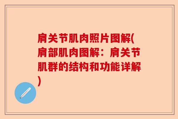肩关节肌肉照片图解(肩部肌肉图解：肩关节肌群的结构和功能详解)-第1张图片-关节保镖