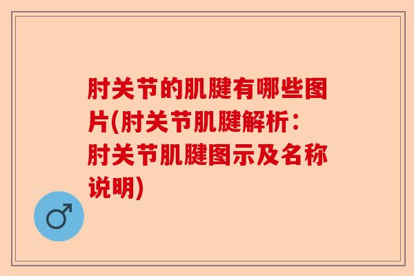 肘关节的肌腱有哪些图片(肘关节肌腱解析：肘关节肌腱图示及名称说明)-第1张图片-关节保镖