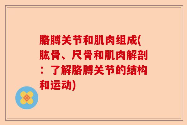 胳膊关节和肌肉组成(肱骨、尺骨和肌肉解剖：了解胳膊关节的结构和运动)-第1张图片-关节保镖