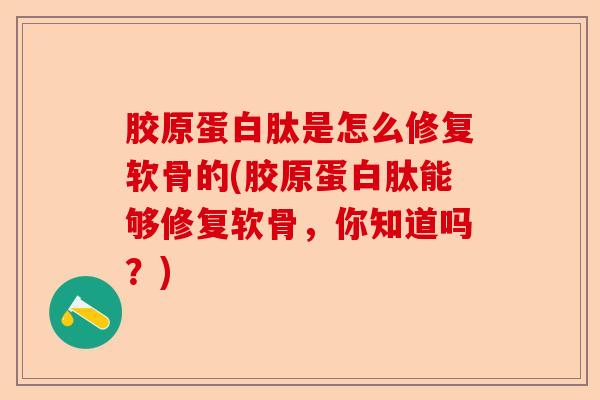 胶原蛋白肽是怎么修复软骨的(胶原蛋白肽能够修复软骨，你知道吗？)-第1张图片-关节保镖