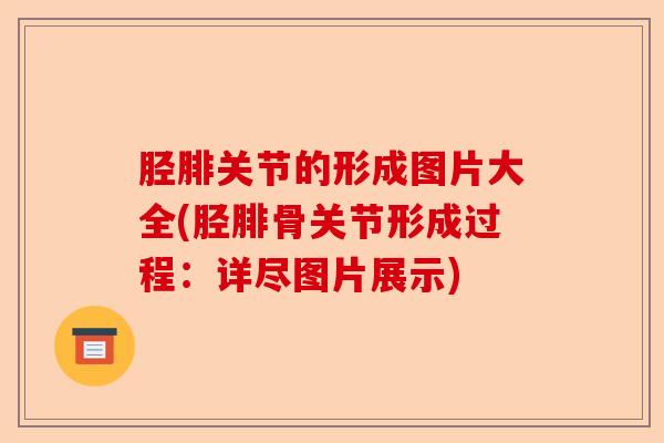 胫腓关节的形成图片大全(胫腓骨关节形成过程：详尽图片展示)-第1张图片-关节保镖