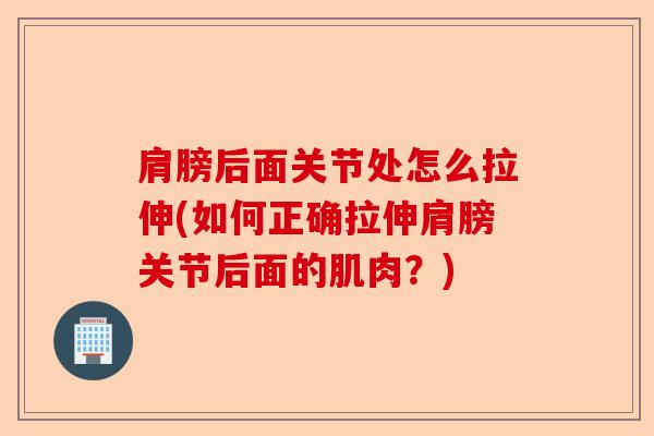 肩膀后面关节处怎么拉伸(如何正确拉伸肩膀关节后面的肌肉？)-第1张图片-关节保镖