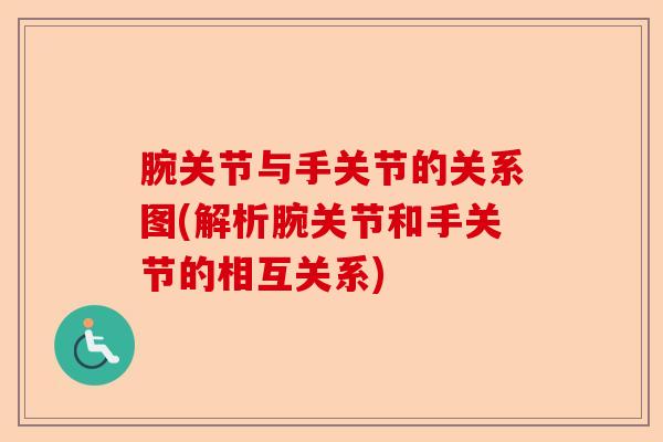 腕关节与手关节的关系图(解析腕关节和手关节的相互关系)-第1张图片-关节保镖