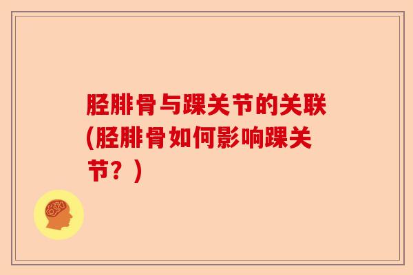 胫腓骨与踝关节的关联(胫腓骨如何影响踝关节？)-第1张图片-关节保镖