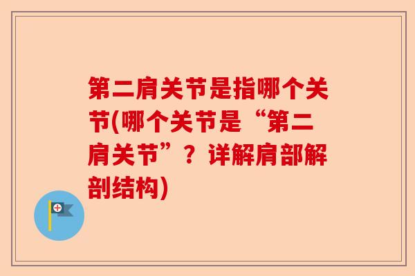 第二肩关节是指哪个关节(哪个关节是“第二肩关节”？详解肩部解剖结构)-第1张图片-关节保镖