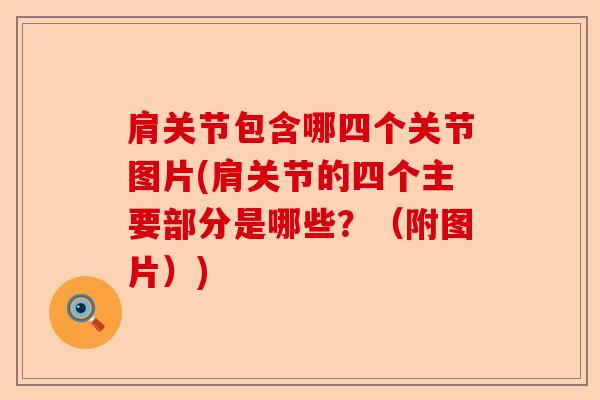 肩关节包含哪四个关节图片(肩关节的四个主要部分是哪些？（附图片）)-第1张图片-关节保镖
