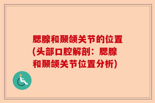 腮腺和颞颌关节的位置(头部口腔解剖：腮腺和颞颌关节位置分析)-第1张图片-关节保镖