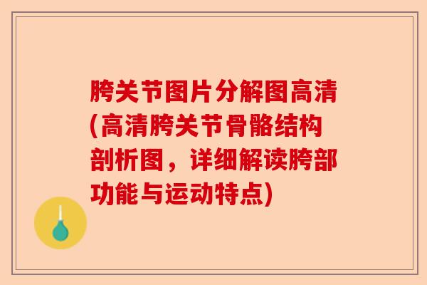 胯关节图片分解图高清(高清胯关节骨骼结构剖析图，详细解读胯部功能与运动特点)-第1张图片-关节保镖