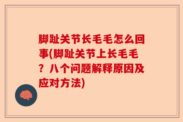 脚趾关节长毛毛怎么回事(脚趾关节上长毛毛？八个问题解释原因及应对方法)-第1张图片-关节保镖