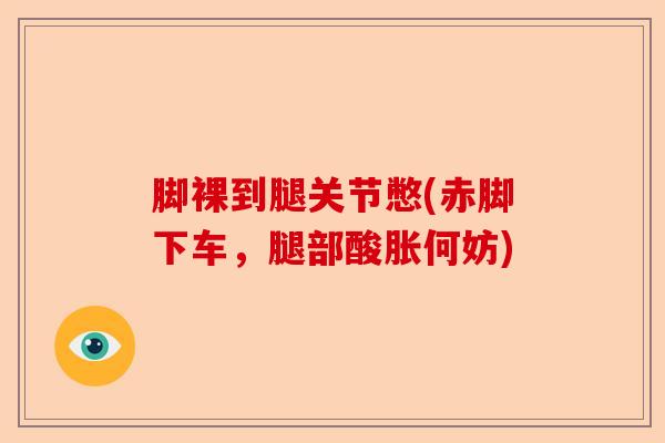 脚裸到腿关节憋(赤脚下车，腿部酸胀何妨)-第1张图片-关节保镖