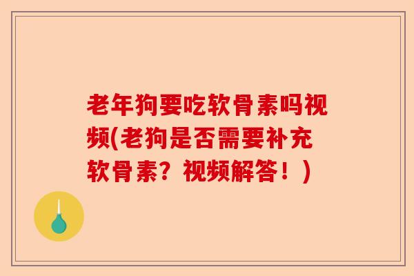老年狗要吃软骨素吗视频(老狗是否需要补充软骨素？视频解答！)-第1张图片-关节保镖