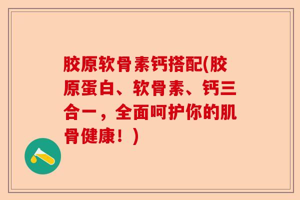 胶原软骨素钙搭配(胶原蛋白、软骨素、钙三合一，全面呵护你的肌骨健康！)-第1张图片-关节保镖