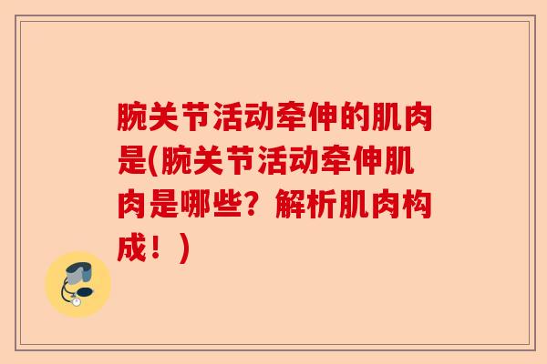 腕关节活动牵伸的肌肉是(腕关节活动牵伸肌肉是哪些？解析肌肉构成！)-第1张图片-关节保镖