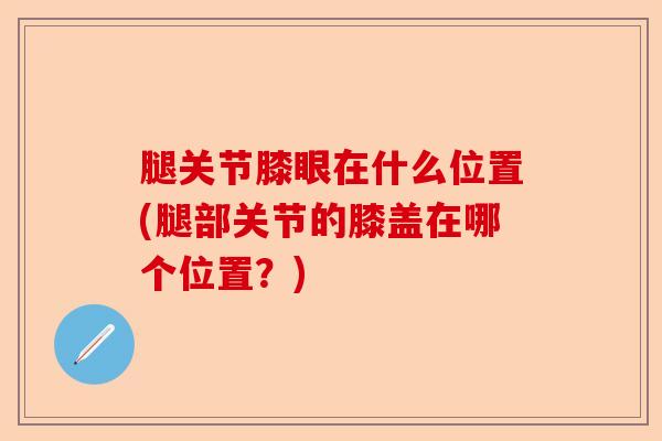 腿关节膝眼在什么位置(腿部关节的膝盖在哪个位置？)-第1张图片-关节保镖