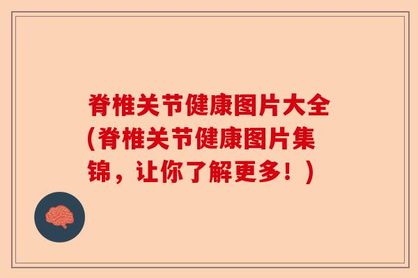 脊椎关节健康图片大全(脊椎关节健康图片集锦，让你了解更多！)-第1张图片-关节保镖
