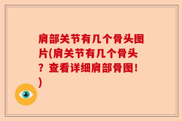 肩部关节有几个骨头图片(肩关节有几个骨头？查看详细肩部骨图！)-第1张图片-关节保镖
