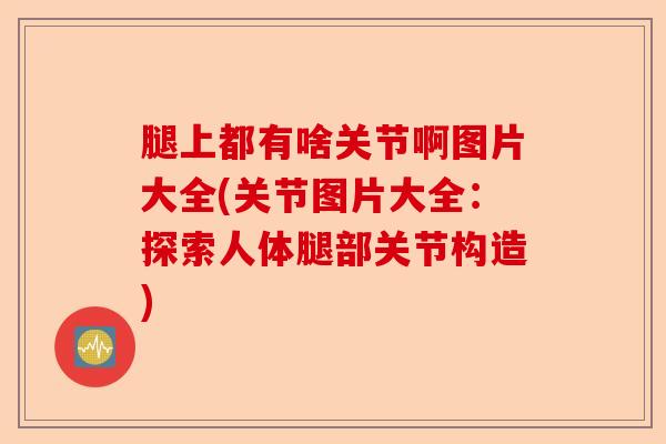 腿上都有啥关节啊图片大全(关节图片大全：探索人体腿部关节构造)-第1张图片-关节保镖