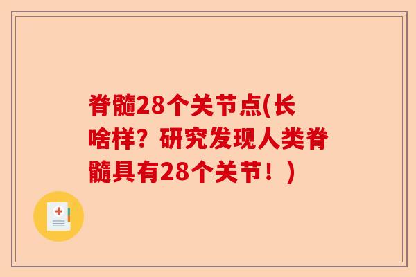 脊髓28个关节点(长啥样？研究发现人类脊髓具有28个关节！)-第1张图片-关节保镖