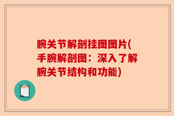 腕关节解剖挂图图片(手腕解剖图：深入了解腕关节结构和功能)-第1张图片-关节保镖