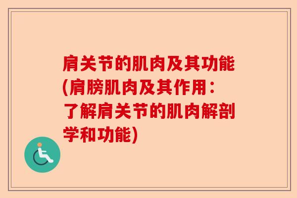 肩关节的肌肉及其功能(肩膀肌肉及其作用：了解肩关节的肌肉解剖学和功能)-第1张图片-关节保镖