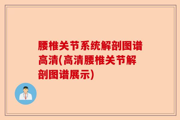 腰椎关节系统解剖图谱高清(高清腰椎关节解剖图谱展示)