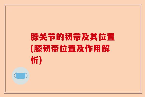 膝关节的韧带及其位置(膝韧带位置及作用解析)