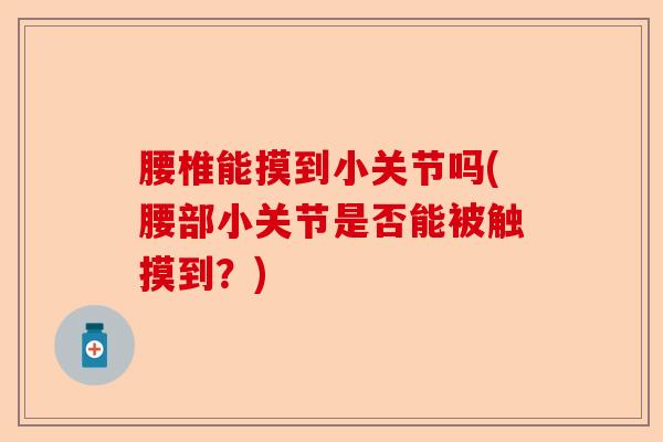 腰椎能摸到小关节吗(腰部小关节是否能被触摸到？)