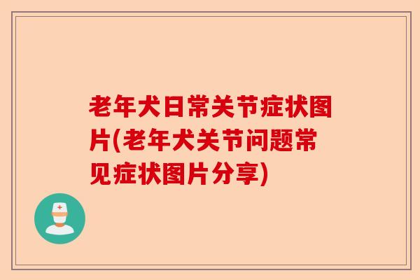 老年犬日常关节症状图片(老年犬关节问题常见症状图片分享)-第1张图片-关节保镖