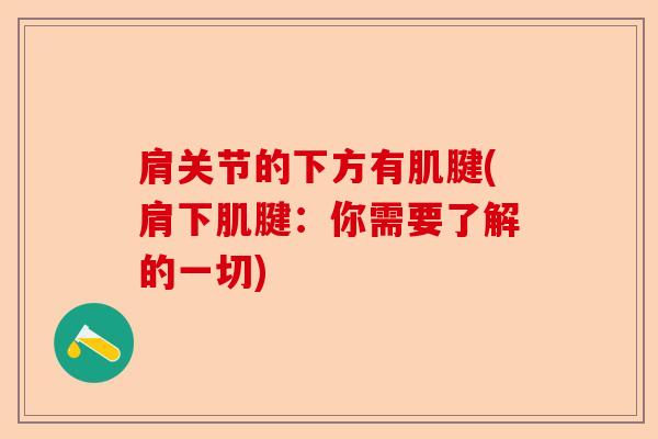 肩关节的下方有肌腱(肩下肌腱：你需要了解的一切)