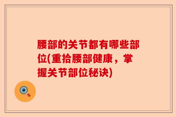 腰部的关节都有哪些部位(重拾腰部健康，掌握关节部位秘诀)-第1张图片-关节保镖
