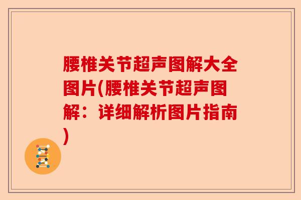 腰椎关节超声图解大全图片(腰椎关节超声图解：详细解析图片指南)
