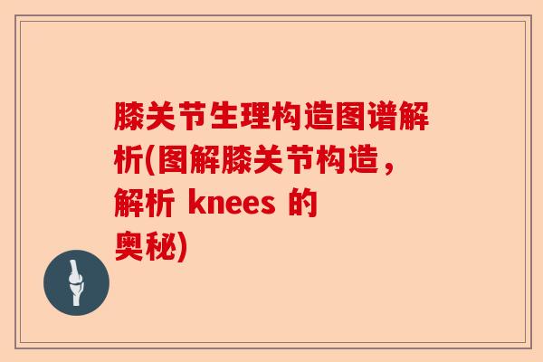 膝关节生理构造图谱解析(图解膝关节构造，解析 knees 的奥秘)-第1张图片-关节保镖