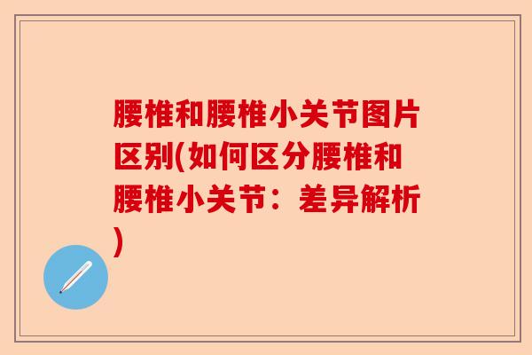 腰椎和腰椎小关节图片区别(如何区分腰椎和腰椎小关节：差异解析)-第1张图片-关节保镖