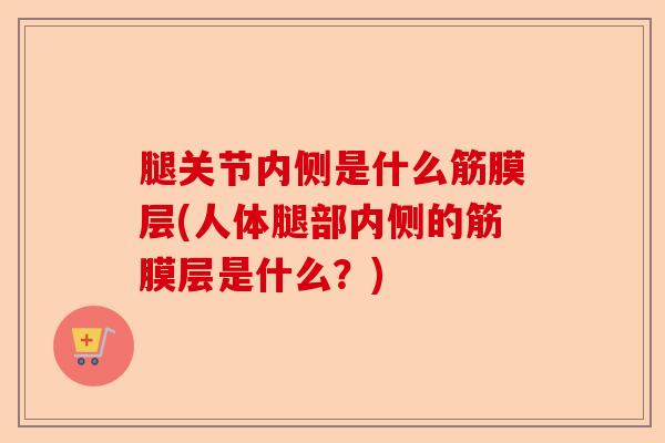 腿关节内侧是什么筋膜层(人体腿部内侧的筋膜层是什么？)-第1张图片-关节保镖