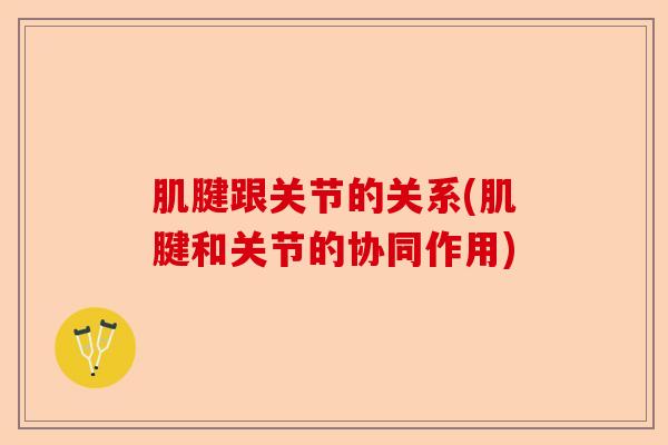 肌腱跟关节的关系(肌腱和关节的协同作用)-第1张图片-关节保镖