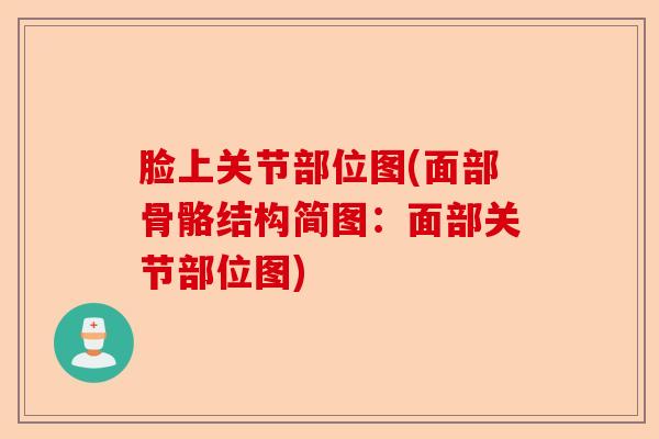 脸上关节部位图(面部骨骼结构简图：面部关节部位图)-第1张图片-关节保镖