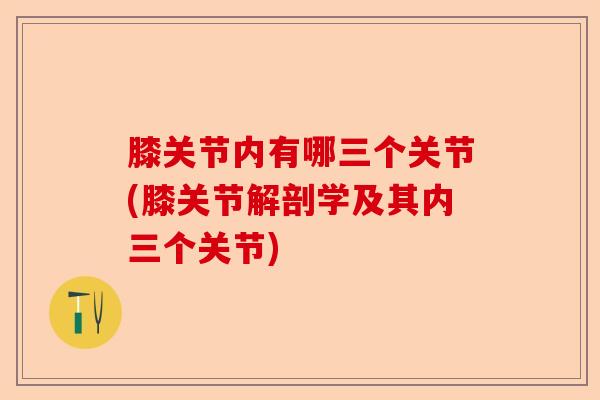 膝关节内有哪三个关节(膝关节解剖学及其内三个关节)-第1张图片-关节保镖