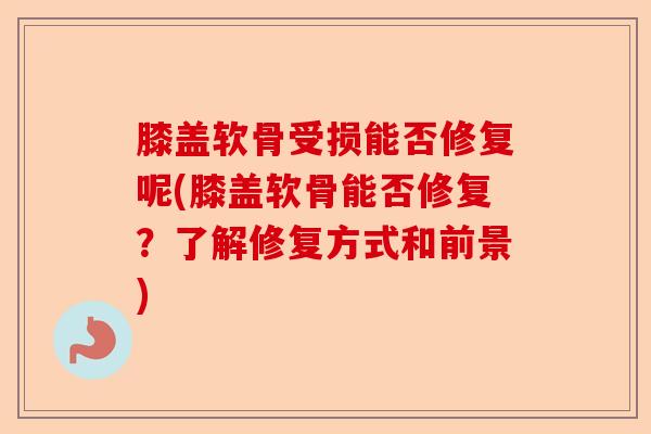 膝盖软骨受损能否修复呢(膝盖软骨能否修复？了解修复方式和前景)-第1张图片-关节保镖