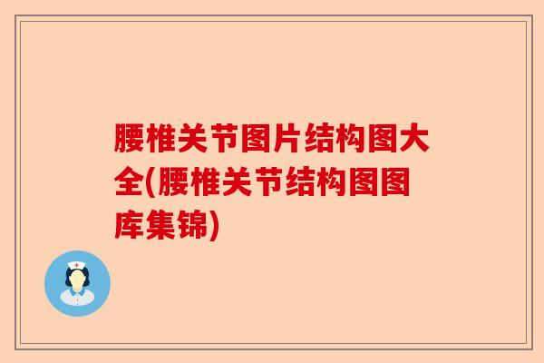 腰椎关节图片结构图大全(腰椎关节结构图图库集锦)-第1张图片-关节保镖
