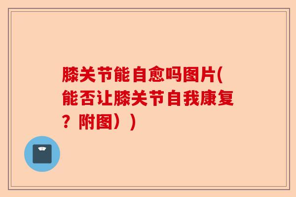 膝关节能自愈吗图片(能否让膝关节自我康复？附图）)-第1张图片-关节保镖