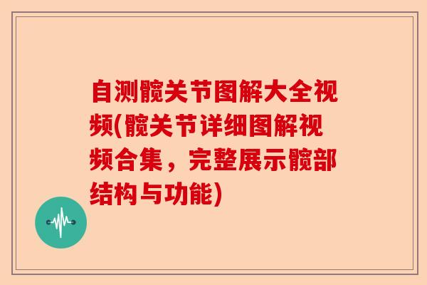 自测髋关节图解大全视频(髋关节详细图解视频合集，完整展示髋部结构与功能)-第1张图片-关节保镖