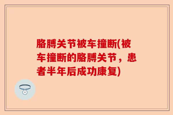 胳膊关节被车撞断(被车撞断的胳膊关节，患者半年后成功康复)-第1张图片-关节保镖