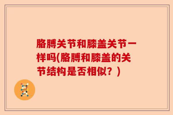 胳膊关节和膝盖关节一样吗(胳膊和膝盖的关节结构是否相似？)-第1张图片-关节保镖