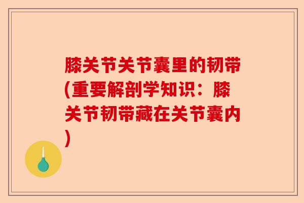 膝关节关节囊里的韧带(重要解剖学知识：膝关节韧带藏在关节囊内)-第1张图片-关节保镖