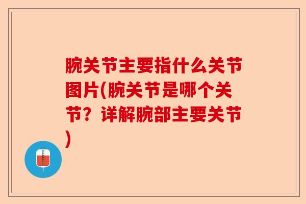 腕关节主要指什么关节图片(腕关节是哪个关节？详解腕部主要关节)-第1张图片-关节保镖