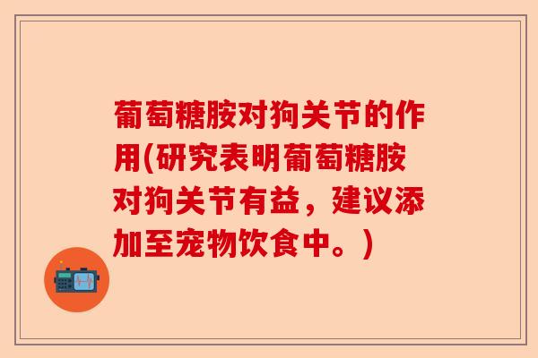 葡萄糖胺对狗关节的作用(研究表明葡萄糖胺对狗关节有益，建议添加至宠物饮食中。)-第1张图片-关节保镖