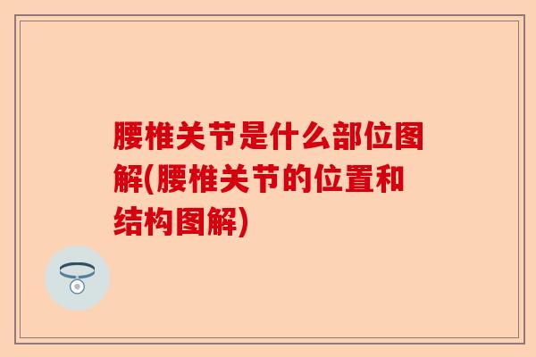 腰椎关节是什么部位图解(腰椎关节的位置和结构图解)-第1张图片-关节保镖