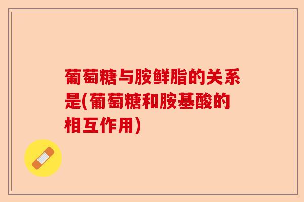 葡萄糖与胺鲜脂的关系是(葡萄糖和胺基酸的相互作用)