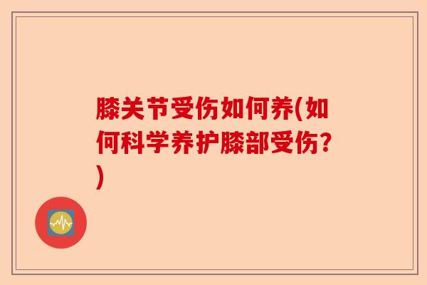 膝关节受伤如何养(如何科学养护膝部受伤？)-第1张图片-关节保镖