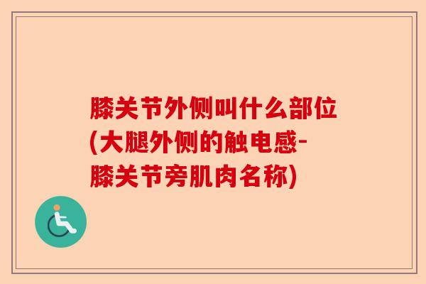 膝关节外侧叫什么部位(大腿外侧的触电感-膝关节旁肌肉名称)-第1张图片-关节保镖